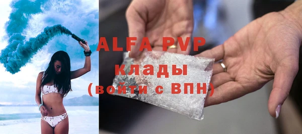 дмт Белокуриха