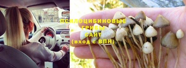 дмт Белокуриха